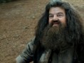 /album/postavy/hagrid-jpg/
